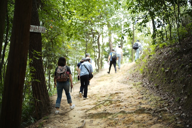 Jarnovessa vybavenie